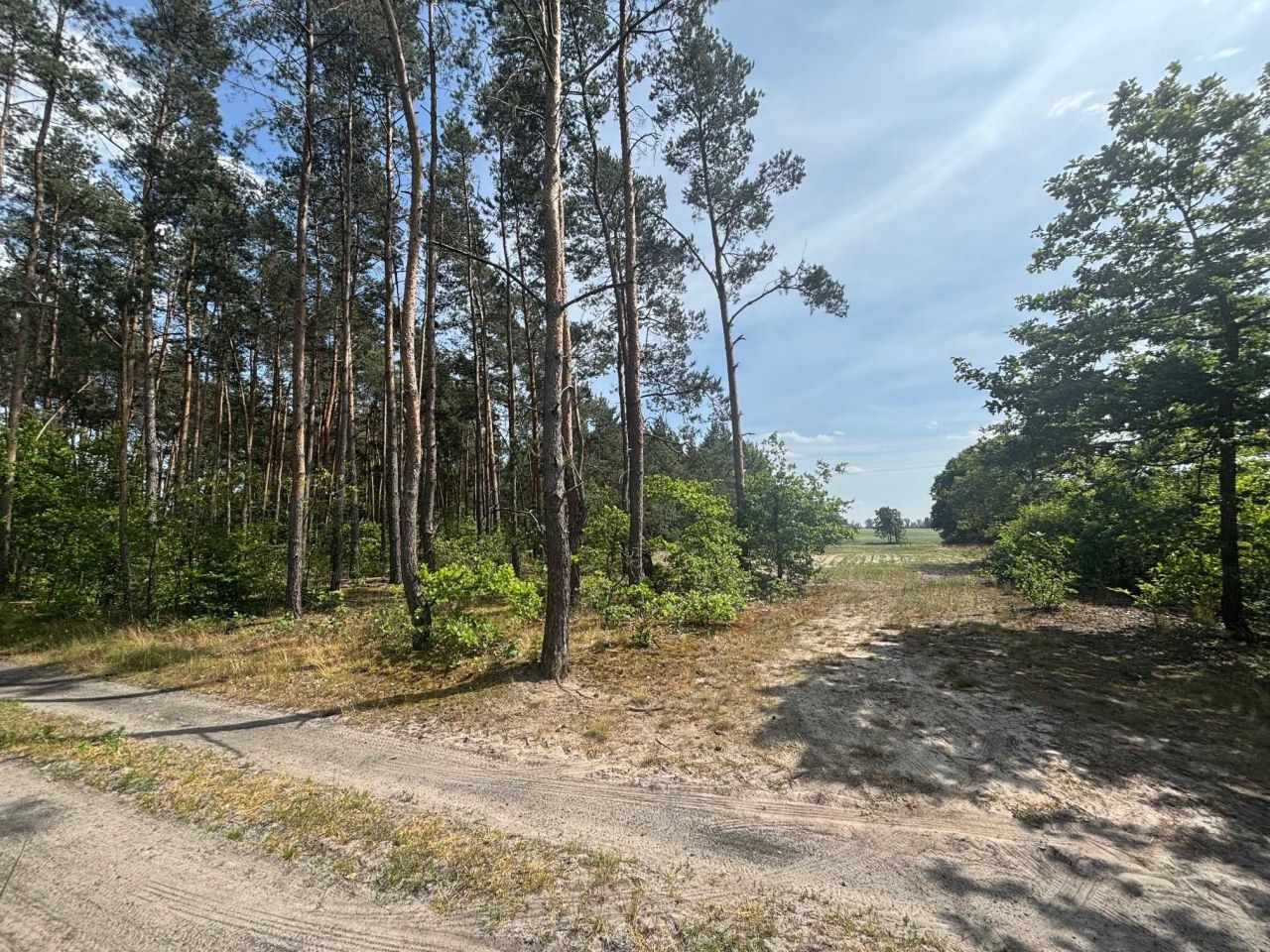 Działka rolno-budowlana Biernacice. Zdjęcie 5