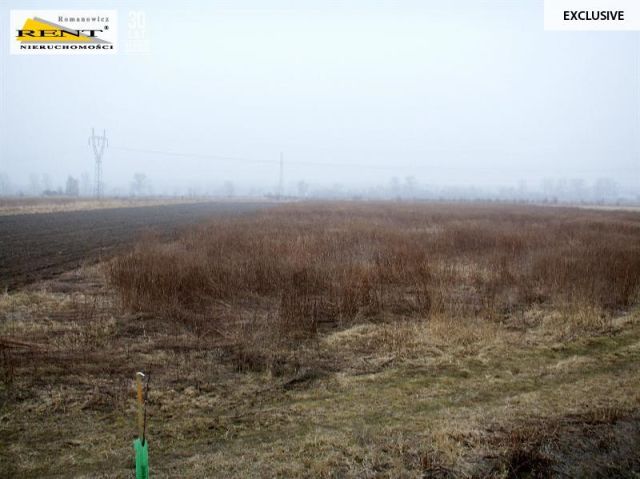 Działka rolna Reptowo. Zdjęcie 3