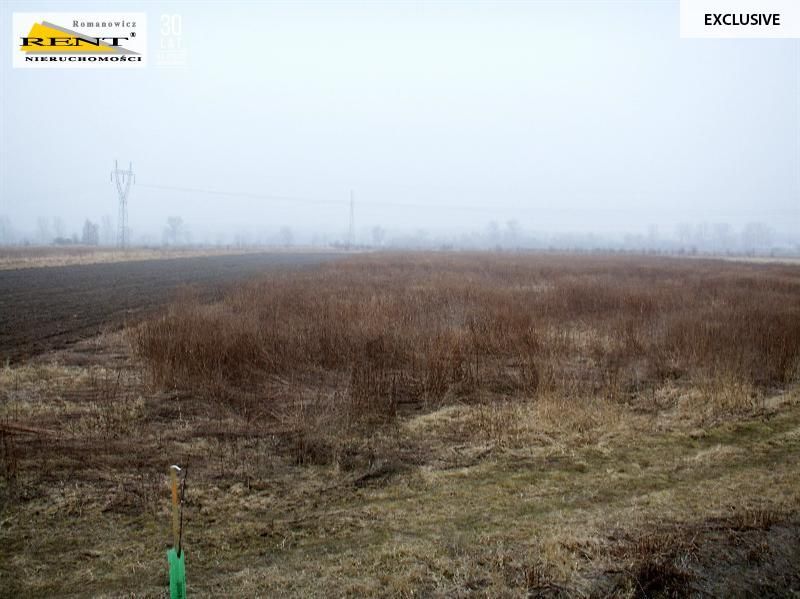 Działka rolna Reptowo. Zdjęcie 3