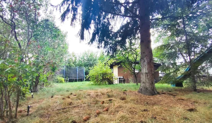 Działka rod Warszawa Wawer