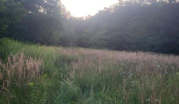 Działka budowlana Dąbrowa Górnicza Sikorka, ul. Szpakowa