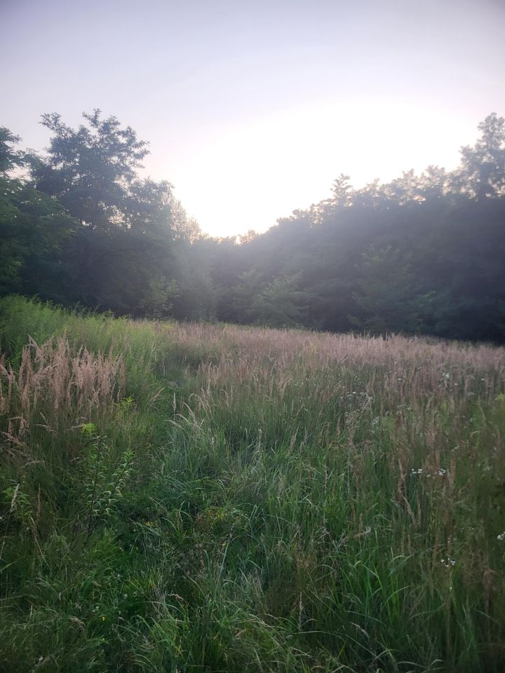 Działka budowlana Dąbrowa Górnicza Sikorka, ul. Szpakowa