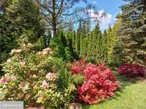 Działka rod Krępa, ul. Długa. Zdjęcie 2