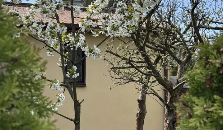 Działka rod Warszawa Białołęka, ul. Głębocka