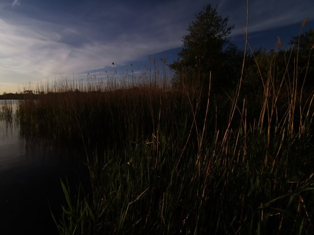 Działka budowlana Rogowo, ul. Topolowa. Zdjęcie 8