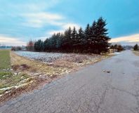 Działka rolno-budowlana Panieńszczyzna. Zdjęcie 3