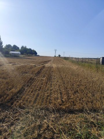 Działka rolno-budowlana Zemborzyce Podleśne. Zdjęcie 1