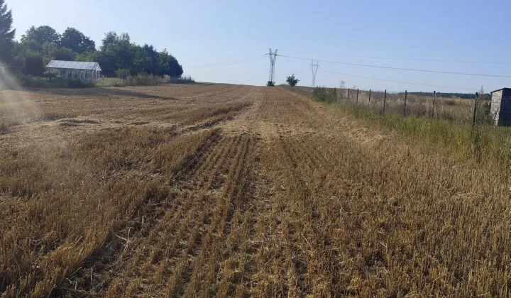 Działka rolno-budowlana Zemborzyce Podleśne