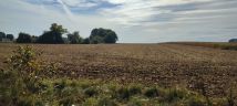 Działka budowlana Piotrków Borowski. Zdjęcie 4