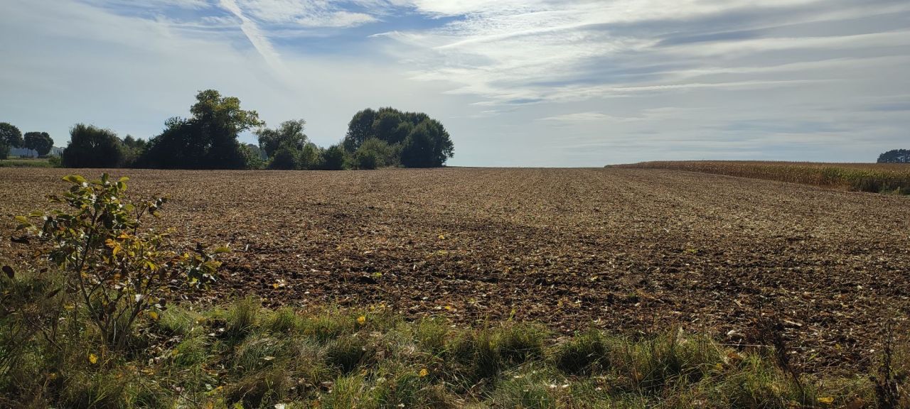 Działka budowlana Piotrków Borowski. Zdjęcie 6