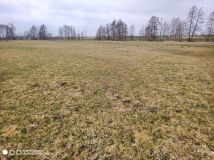 Działka rolna Świątniki. Zdjęcie 1