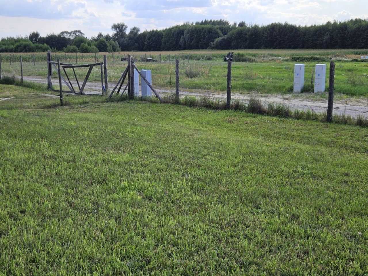 Działka budowlana Dąbie. Zdjęcie 9