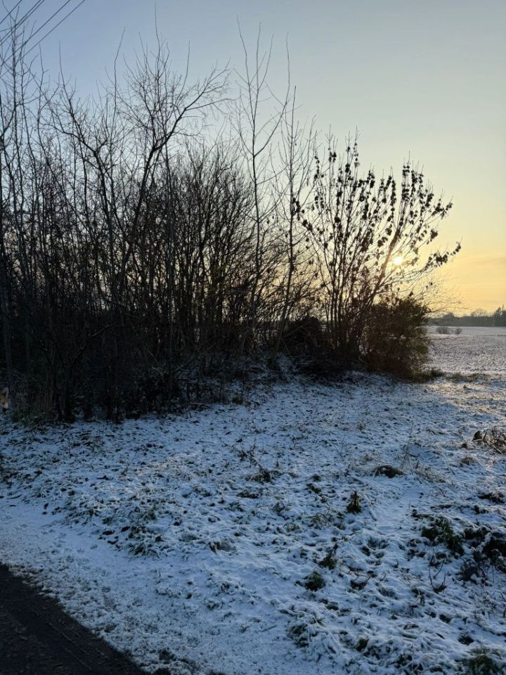 Działka rolno-budowlana Żelichów. Zdjęcie 4