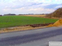 Działka inwestycyjna Wiskitki. Zdjęcie 1