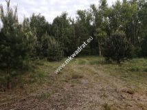 Działka budowlana Budy Zaklasztorne, mkwadrat.eu - najwięcej aktualnych sprawdzonych ofert!. Zdjęcie 4