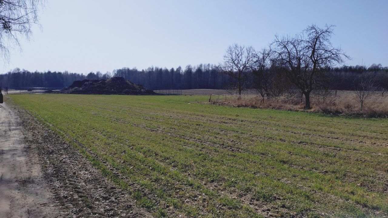 Działka budowlana Stara Jedlanka Jedlanka. Zdjęcie 11