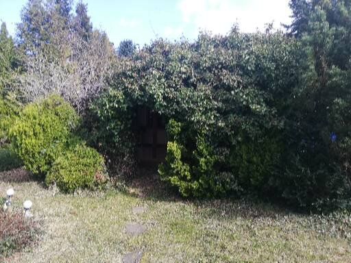 Działka rod Poznań Sypniewo, ul. Sypniewo. Zdjęcie 7