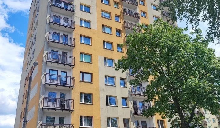 Mieszkanie 2-pokojowe Chorzów Batory, ul. Kaliny