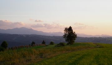 Działka rolno-budowlana Rzepiska, ul. Potok Bryjów