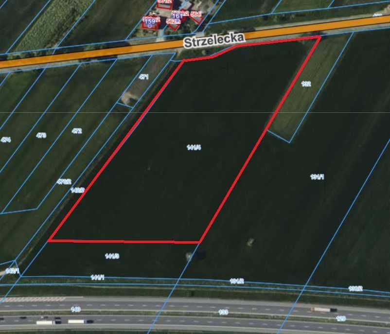 Działka inwestycyjna Gogolin Strzebniów. Zdjęcie 5