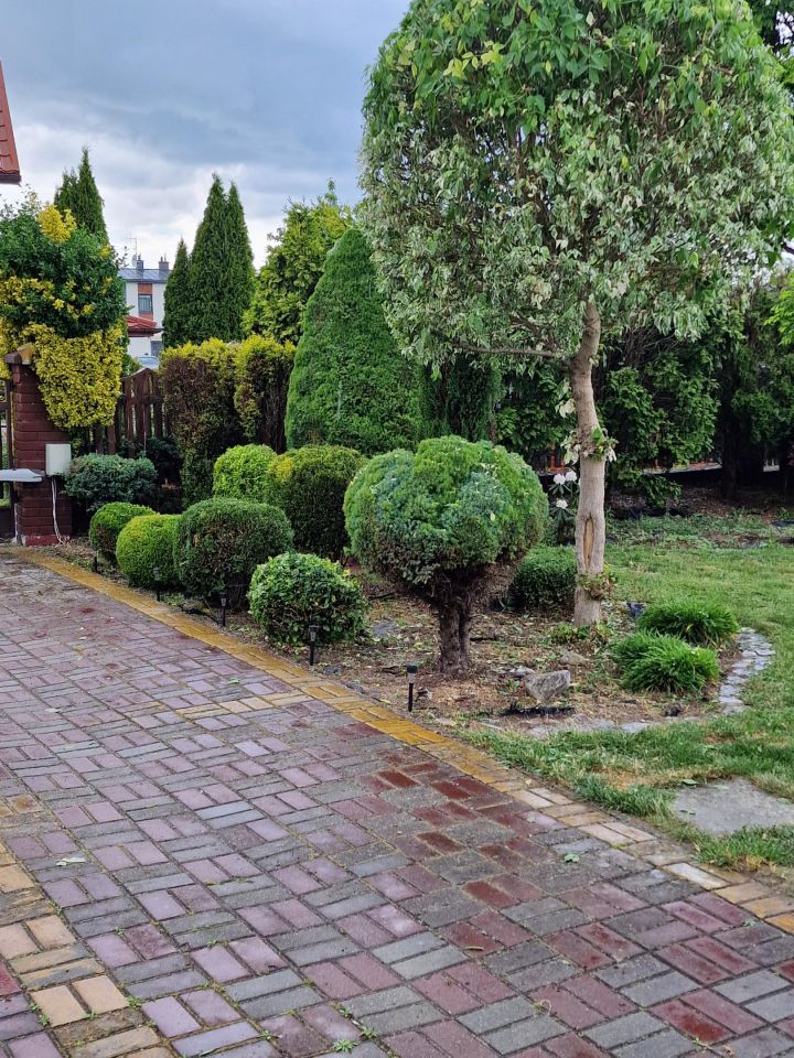 dom wolnostojący, 4 pokoje Zaczernie. Zdjęcie 11