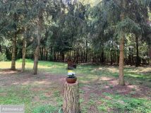 Działka rolno-budowlana Nowe Zawady. Zdjęcie 2