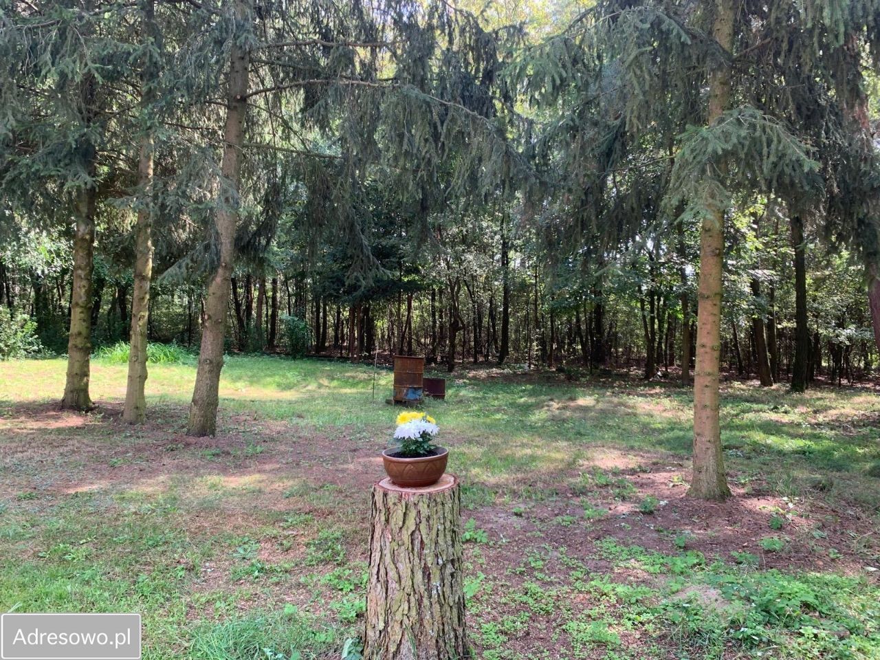 Działka rolno-budowlana Nowe Zawady. Zdjęcie 3