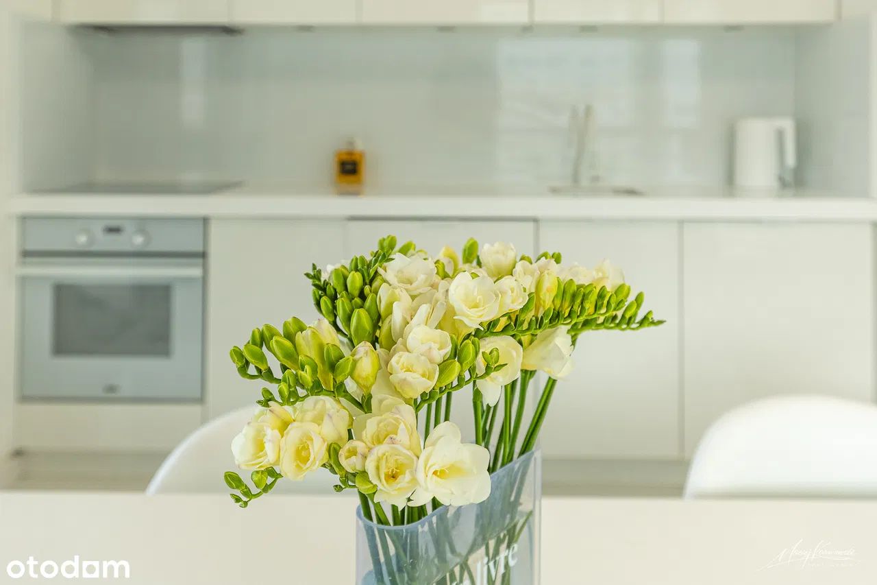 Mieszkanie 3-pokojowe Poznań Chartowo, ul. Inflancka