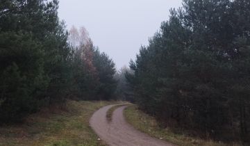 Działka budowlana Kalisz Pomorski, ul. Na Skarpie