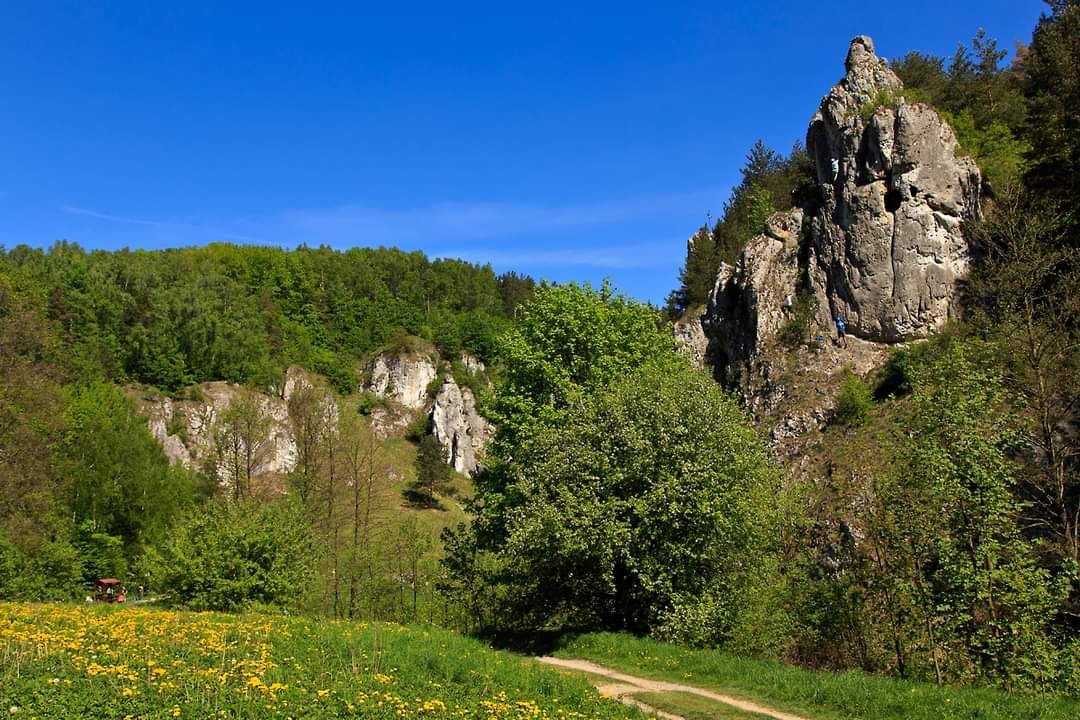 dom wolnostojący, 4 pokoje Karniowice, ul. Słoneczna. Zdjęcie 48