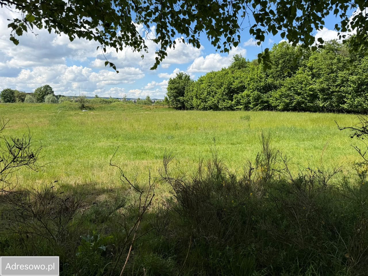 Działka inwestycyjna Dębogórze, ul. Lisia. Zdjęcie 20