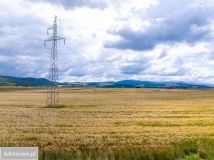 Działka rolna Stary Waliszów. Zdjęcie 4