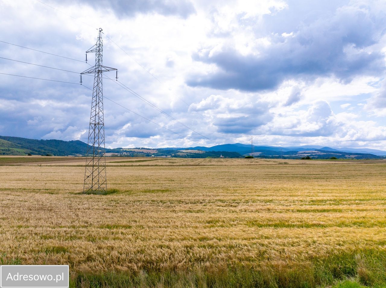 Działka rolna Stary Waliszów. Zdjęcie 5