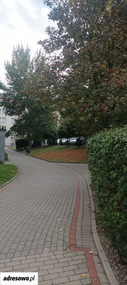 Mieszkanie 4-pokojowe Gryfino Górny Taras, ul. Zygmunta Krasińskiego. Zdjęcie 18