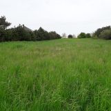 Działka rolno-budowlana Sobianowice. Zdjęcie 3