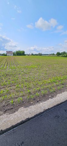 Działka rolna Łochocin. Zdjęcie 1