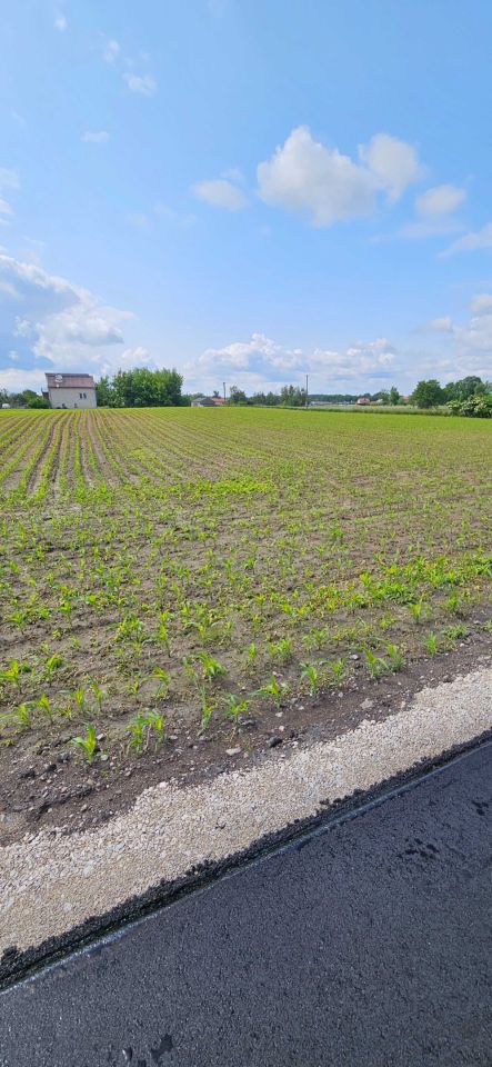 Działka rolna Łochocin