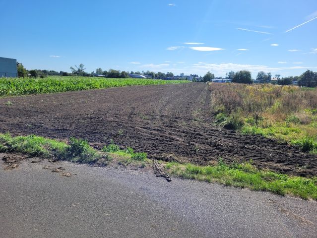 Działka rolno-budowlana Opole Nowa Wieś Królewska, ul. Jerzego i Ryszarda Kowalczyków. Zdjęcie 5