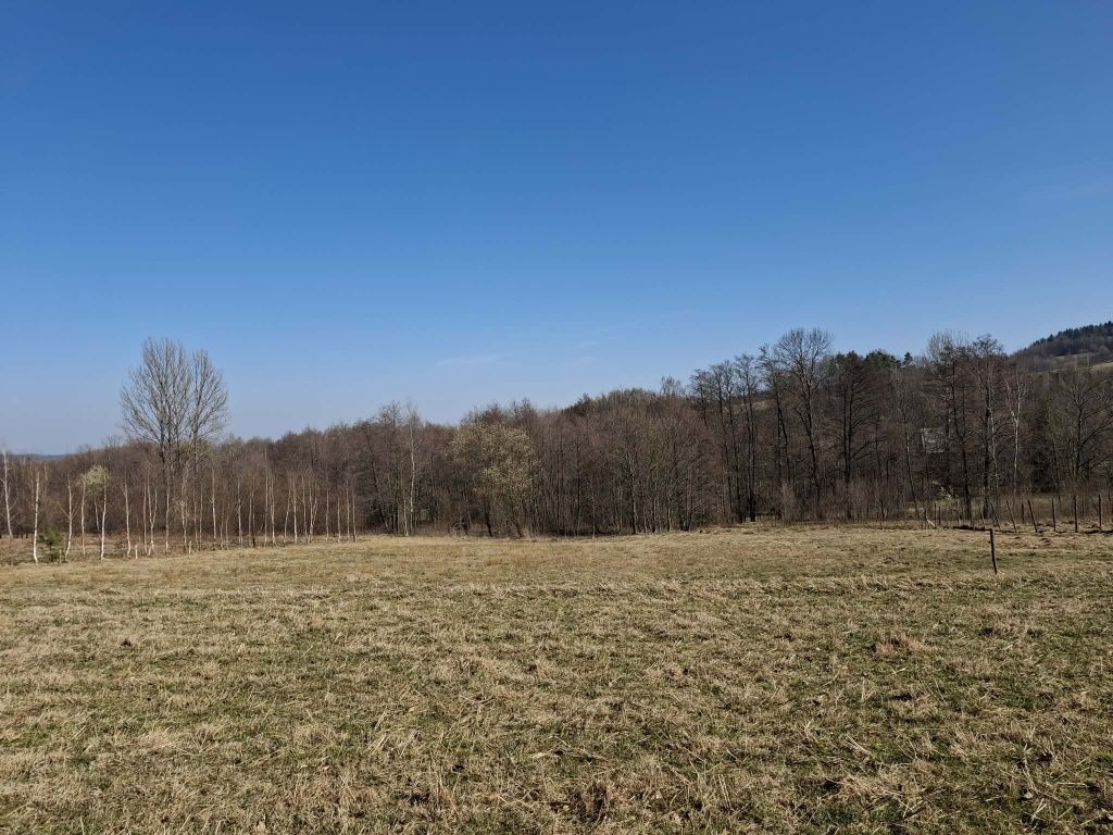 Działka rolno-budowlana Polna. Zdjęcie 6