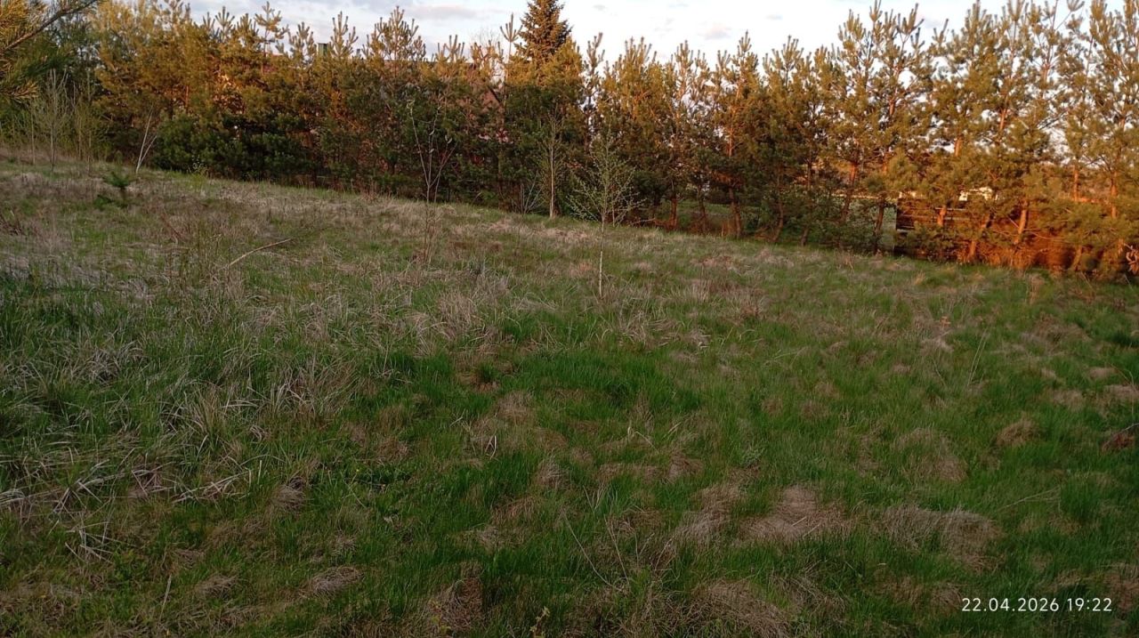 Działka budowlana Zduńska Wola Kolonia Karsznice, ul. Sportowa. Zdjęcie 7