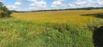 Działka budowlana Kałek. Zdjęcie 4