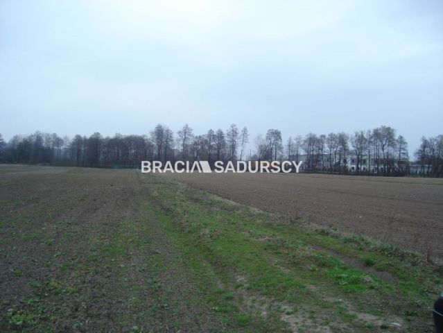 Działka inwestycyjna Morawica. Zdjęcie 45