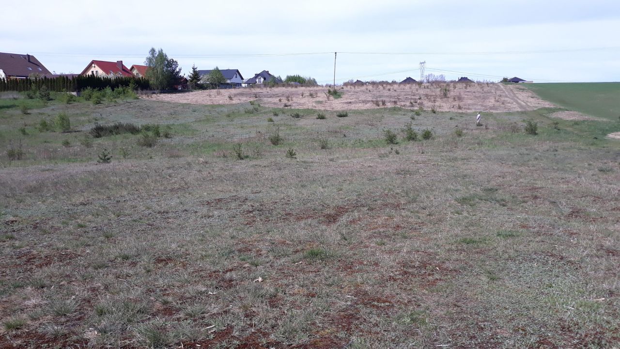 Działka rolna Siemianice, ul. Polna. Zdjęcie 2