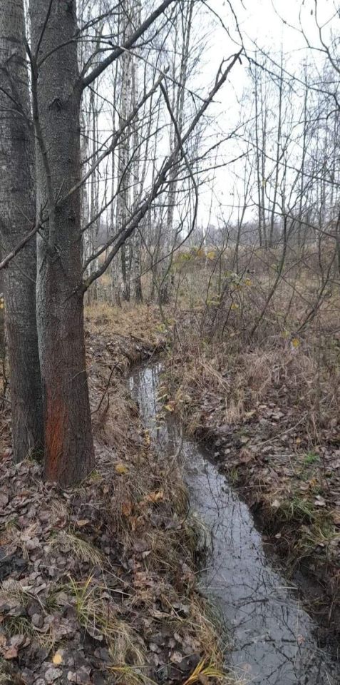 Działka rekreacyjna Zalesie. Zdjęcie 8