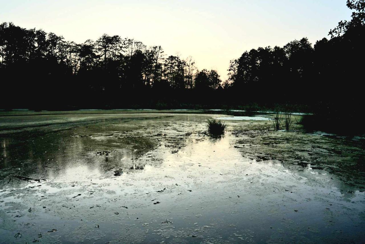 Działka budowlana Cychry. Zdjęcie 21