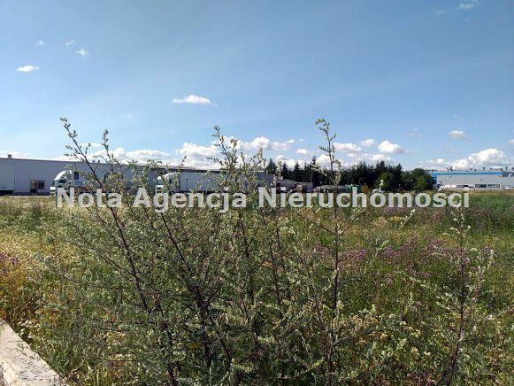 Działka inwestycyjna Świebodzice Ciernie. Zdjęcie 1