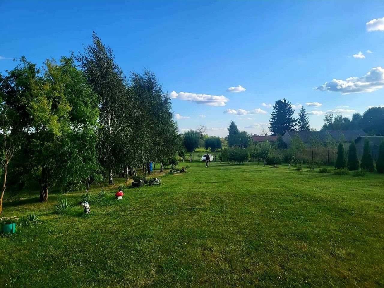 Działka rolno-budowlana Jarczechowo. Zdjęcie 8