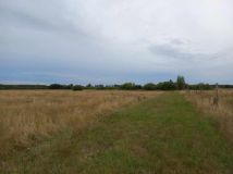 Działka rolna Kopnica. Zdjęcie 4