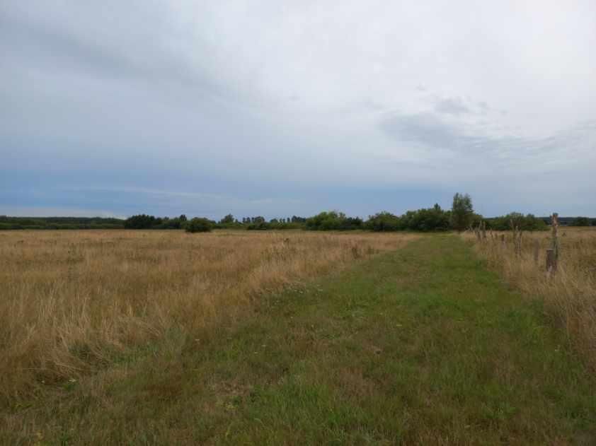 Działka rolna Kopnica. Zdjęcie 5