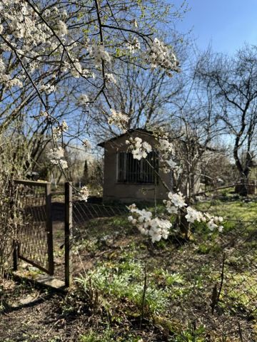 Działka rod Gliwice Śródmieście. Zdjęcie 1